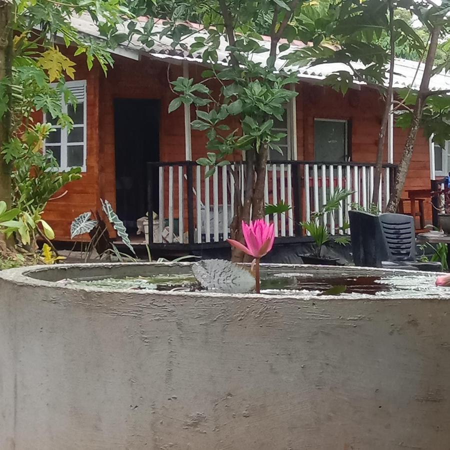 My House آهانغاما المظهر الخارجي الصورة