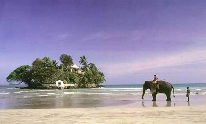 My House آهانغاما المظهر الخارجي الصورة