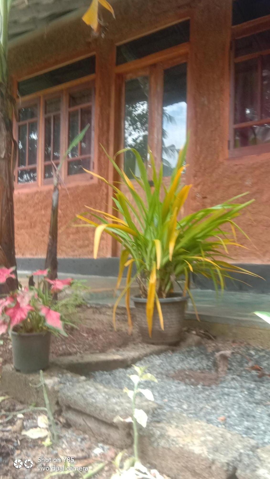 My House آهانغاما الغرفة الصورة
