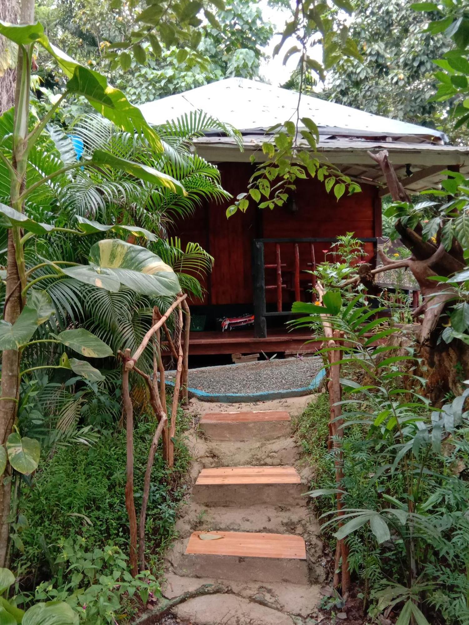 My House آهانغاما الغرفة الصورة