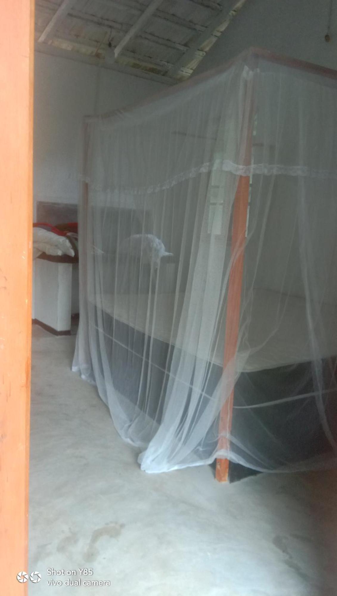 My House آهانغاما الغرفة الصورة