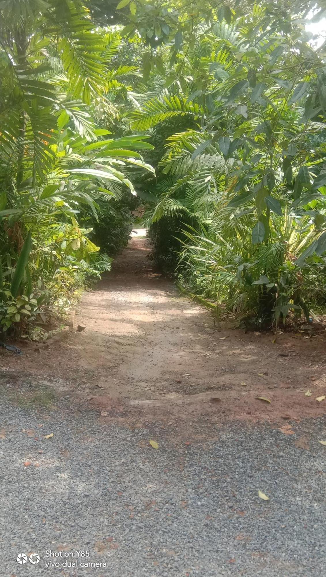 My House آهانغاما الغرفة الصورة