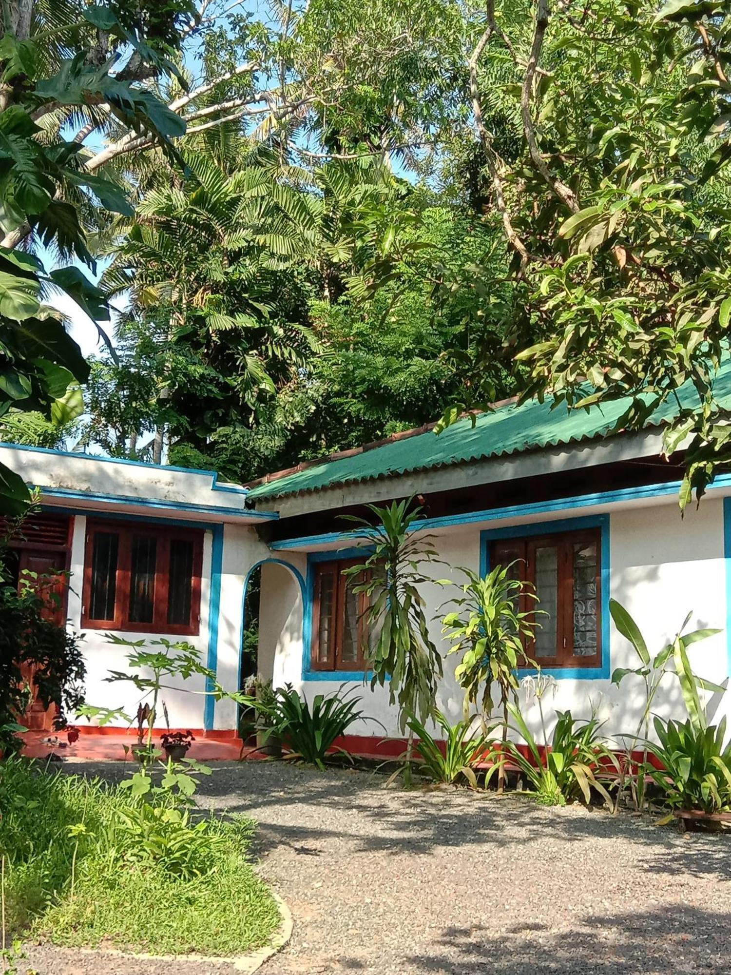 My House آهانغاما الغرفة الصورة