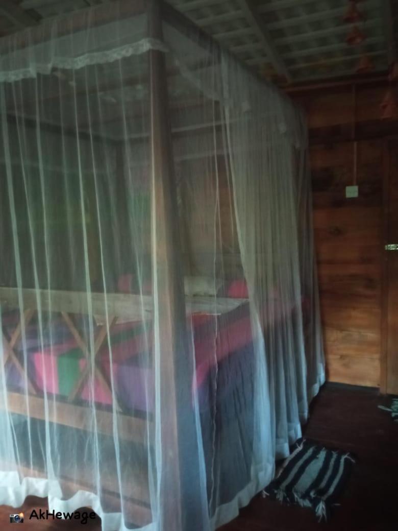 My House آهانغاما الغرفة الصورة