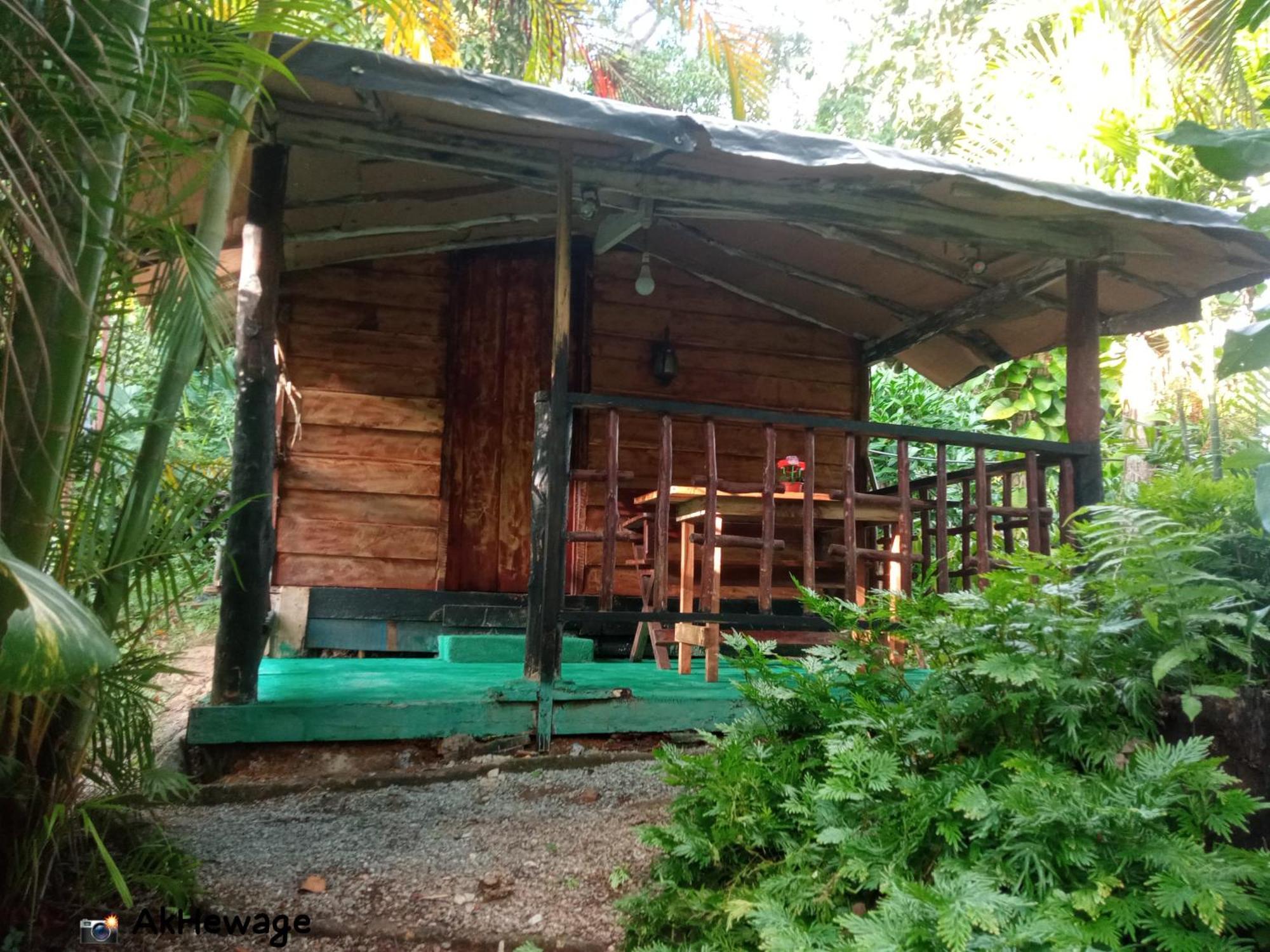 My House آهانغاما الغرفة الصورة