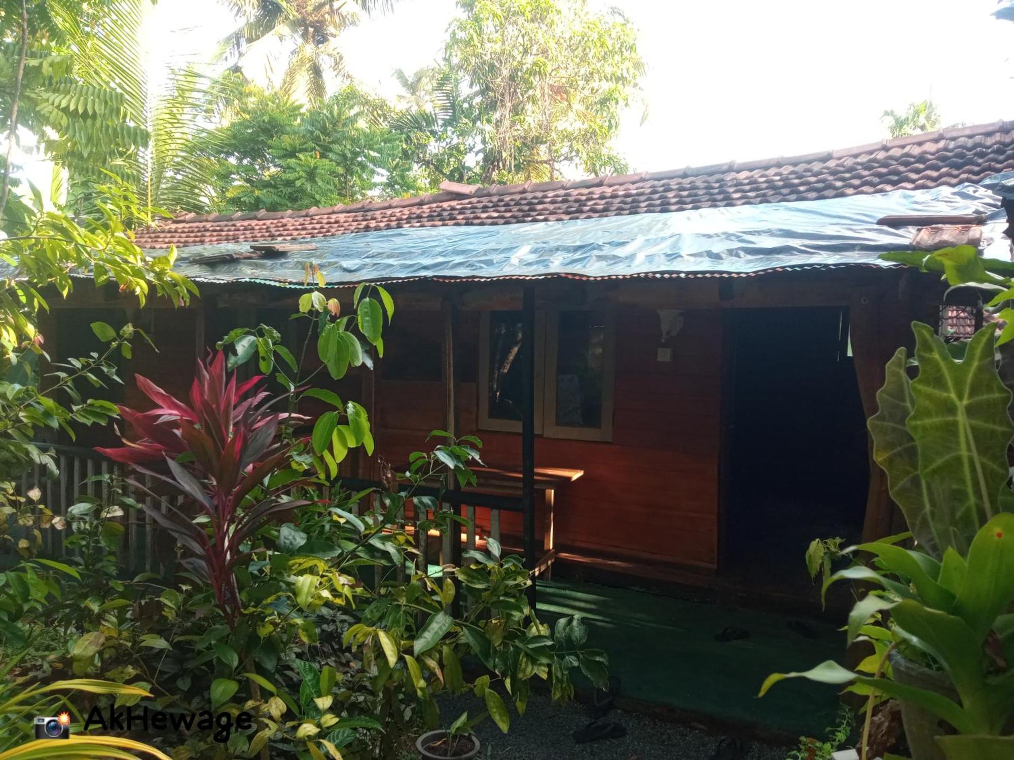 My House آهانغاما الغرفة الصورة