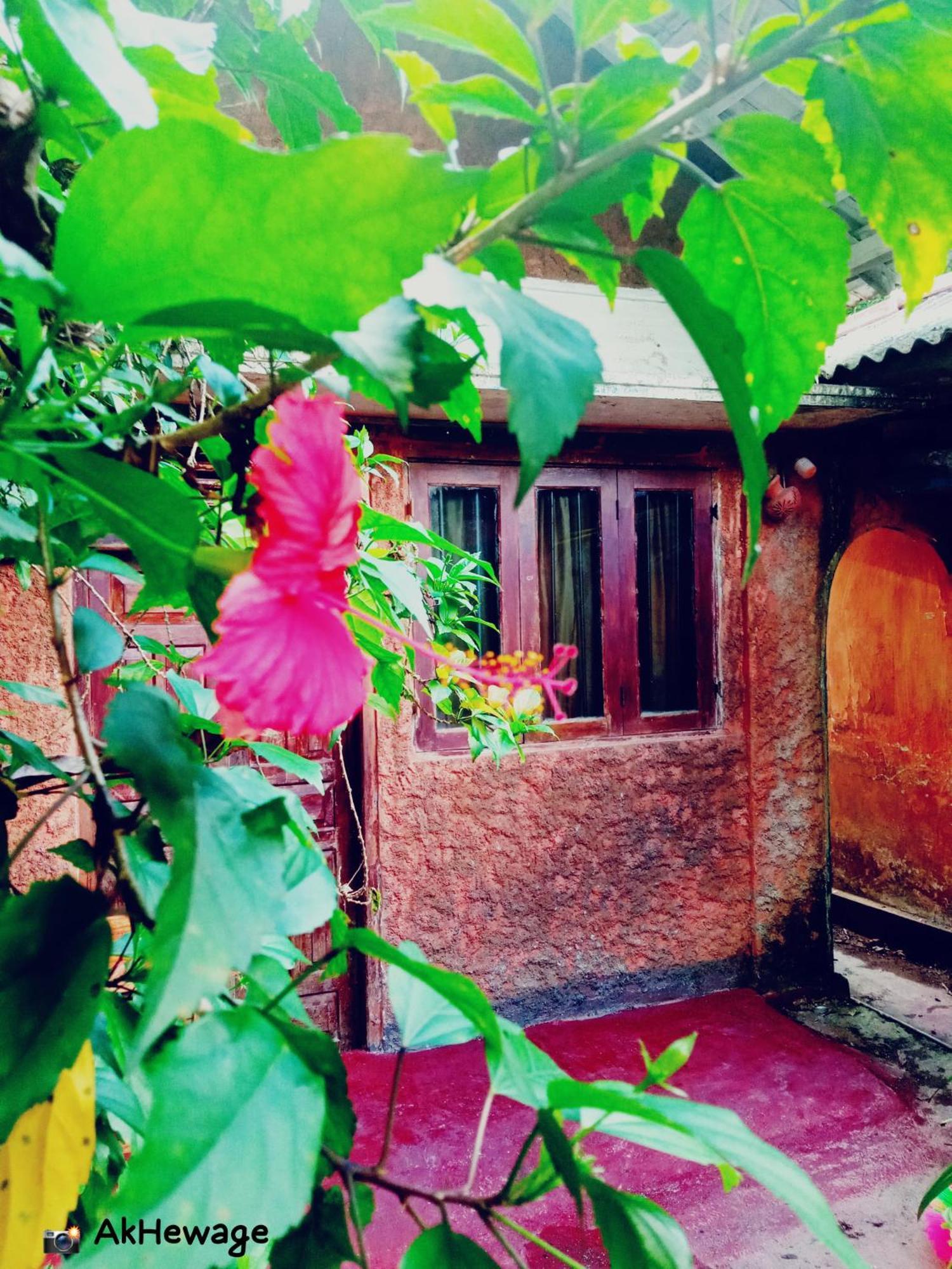 My House آهانغاما الغرفة الصورة